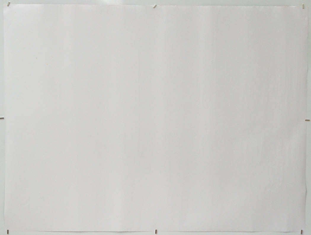 Twiggy (Back) Cinema Quad Movie Poster