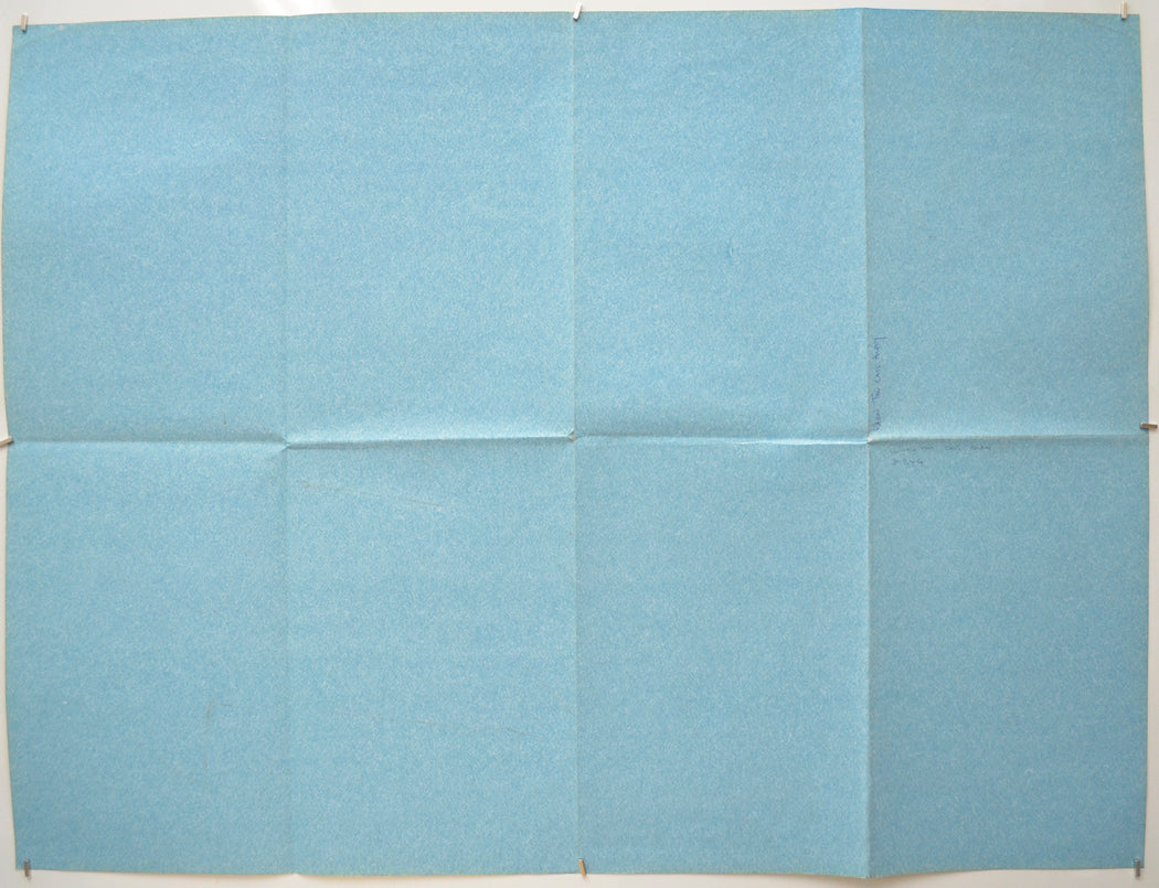 WHEN THE CAT’S AWAY (Back) Cinema Quad Movie Poster