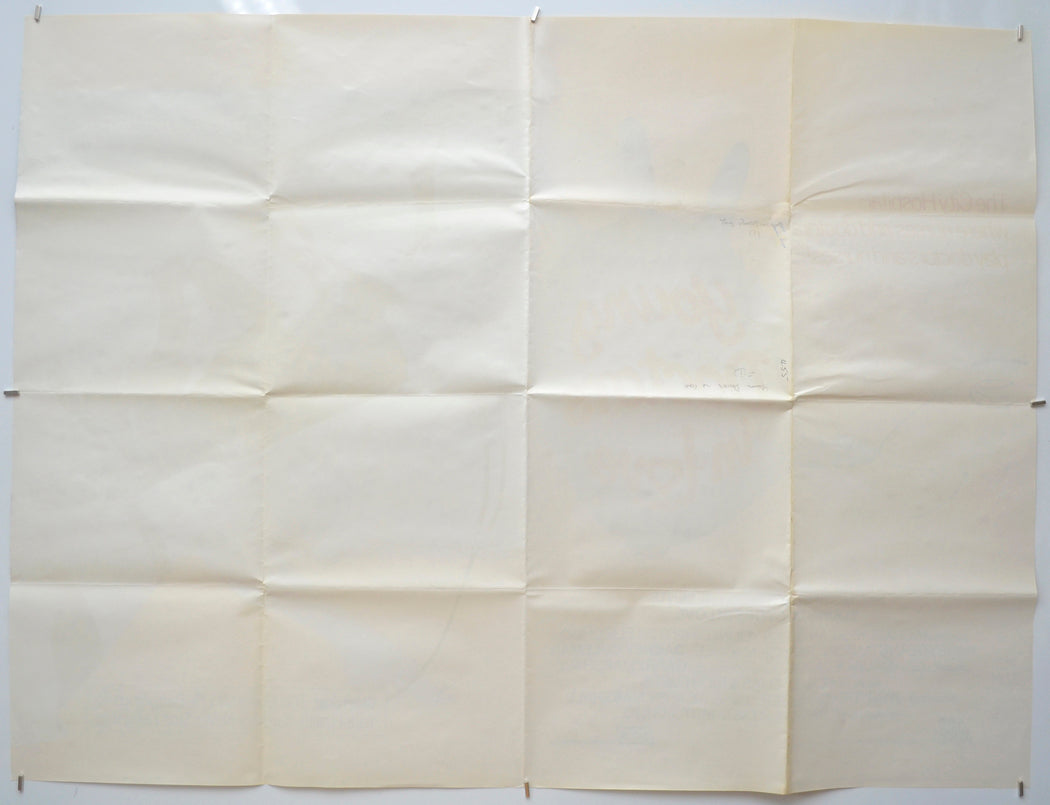 YOUNG DOCTORS IN LOVE (Back) Cinema Quad Movie Poster