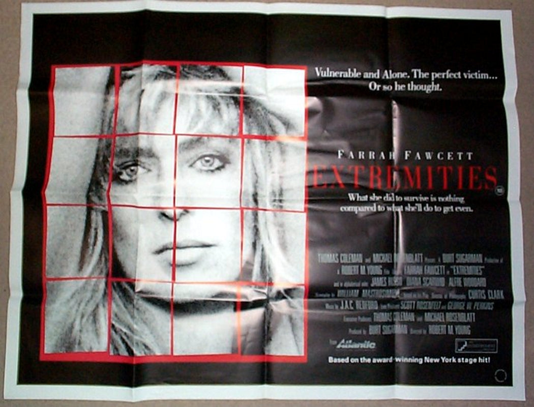 Extremities  Original Quad Movie Poster  