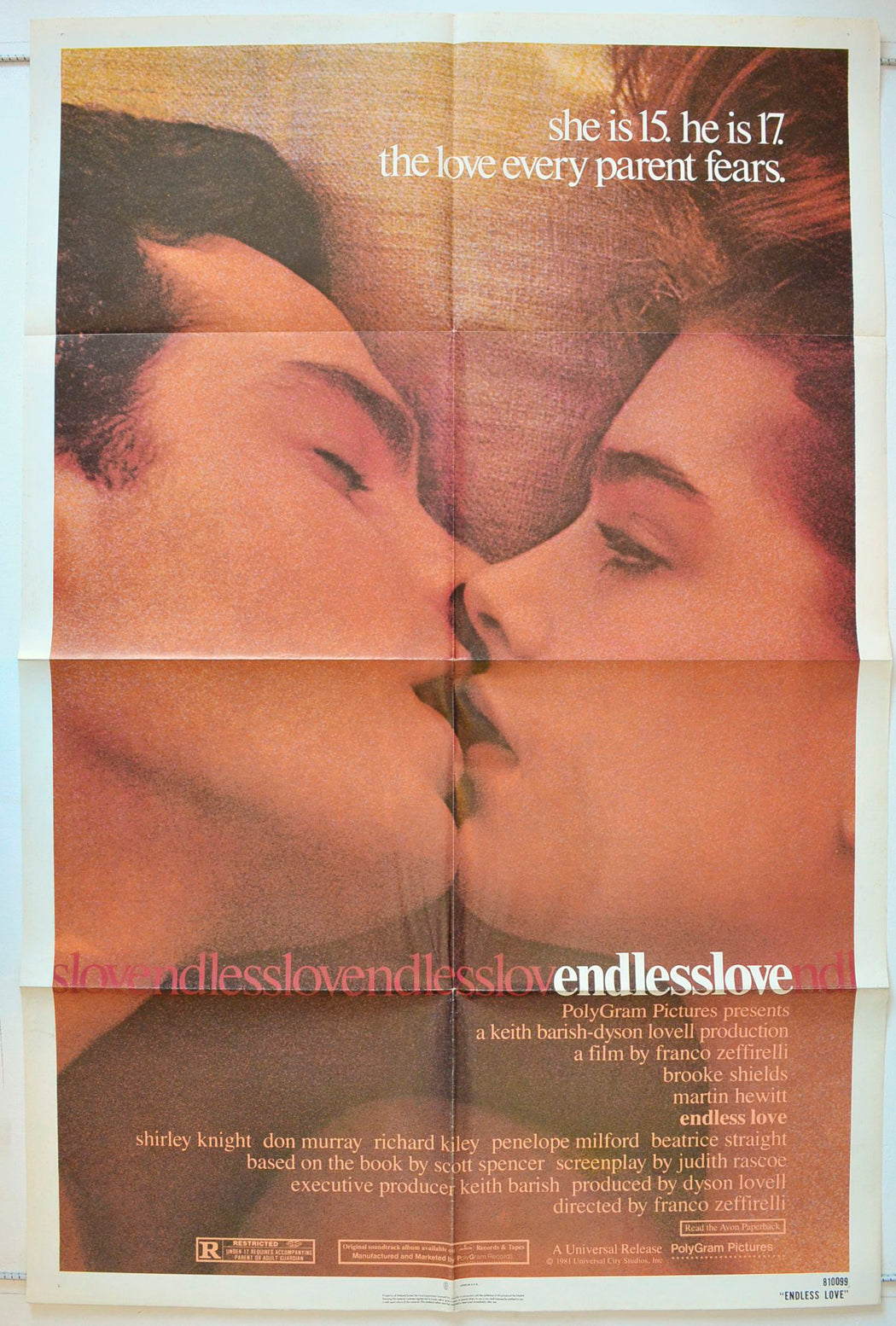 Endless Love Original One Sheet Poster - Movie Poster