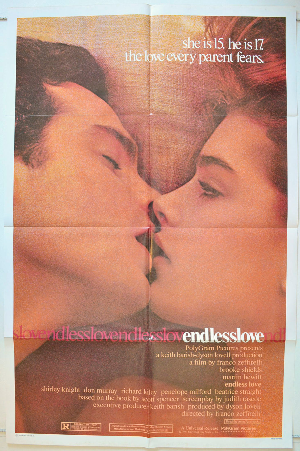 Endless Love Original One Sheet Poster - Movie Poster