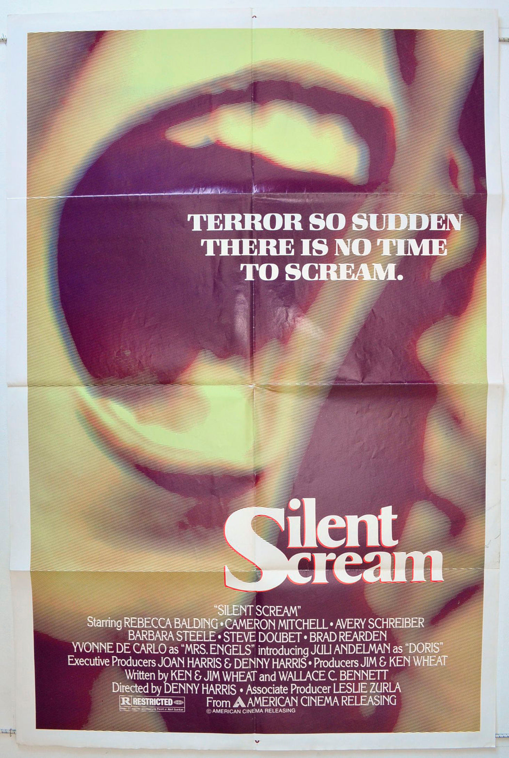 Silent Scream Original One Sheet Poster - Movie Poster