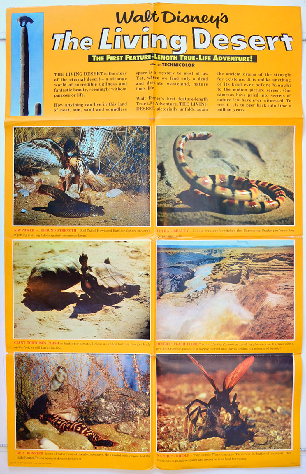 Walt Disney's : The Living Desert Original One Sheet Poster - Movie Poster