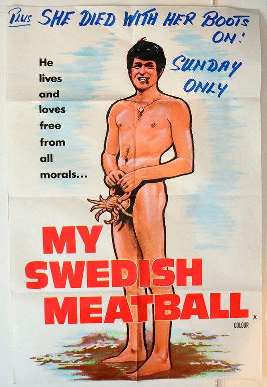 My Swedish Meatball   (a.k.a. Spielst Du mit schrägen Vögeln) Original Double Crown Poster - Movie Poster