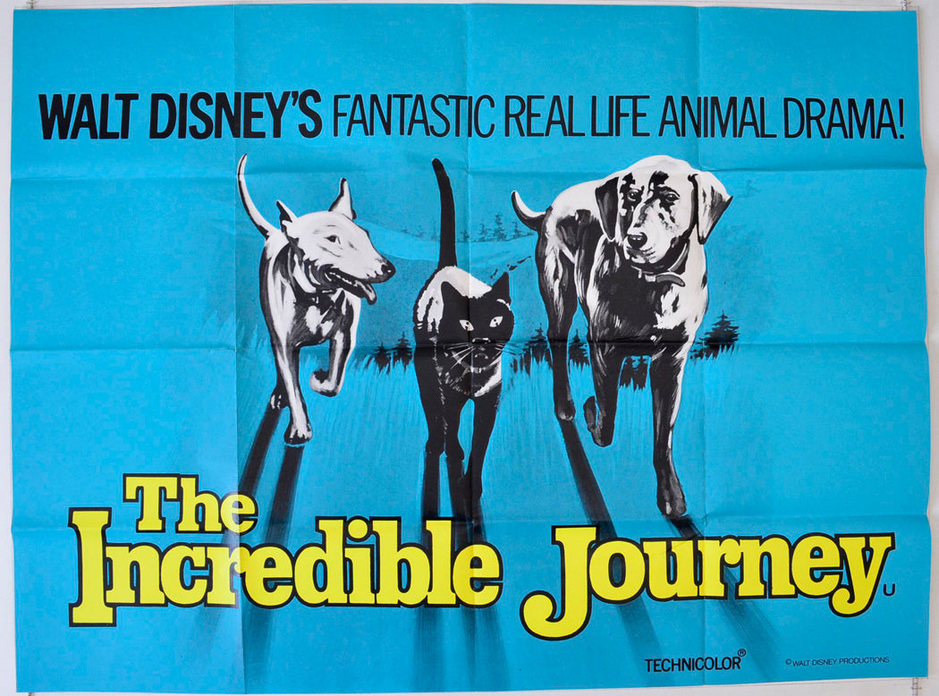 The Incredible Journey Original British Quad Poster - Movie Poster