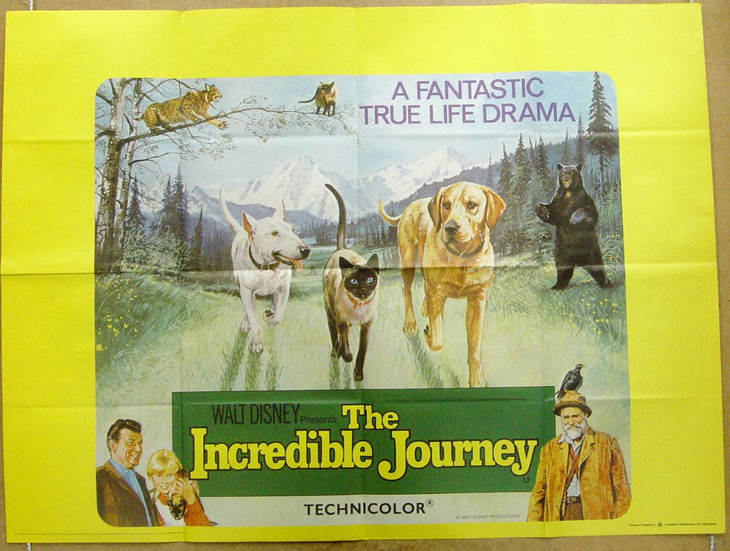 The Incredible Journey  Original Quad Movie Poster  