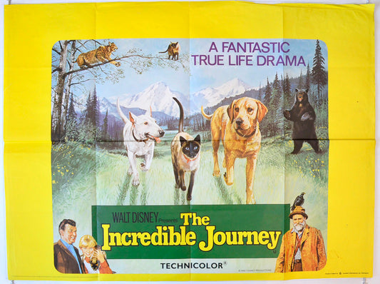 The Incredible Journey Original British Quad Poster - Movie Poster