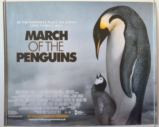 March Of The Penguins   Original British Quad Poster - Movie Poster 