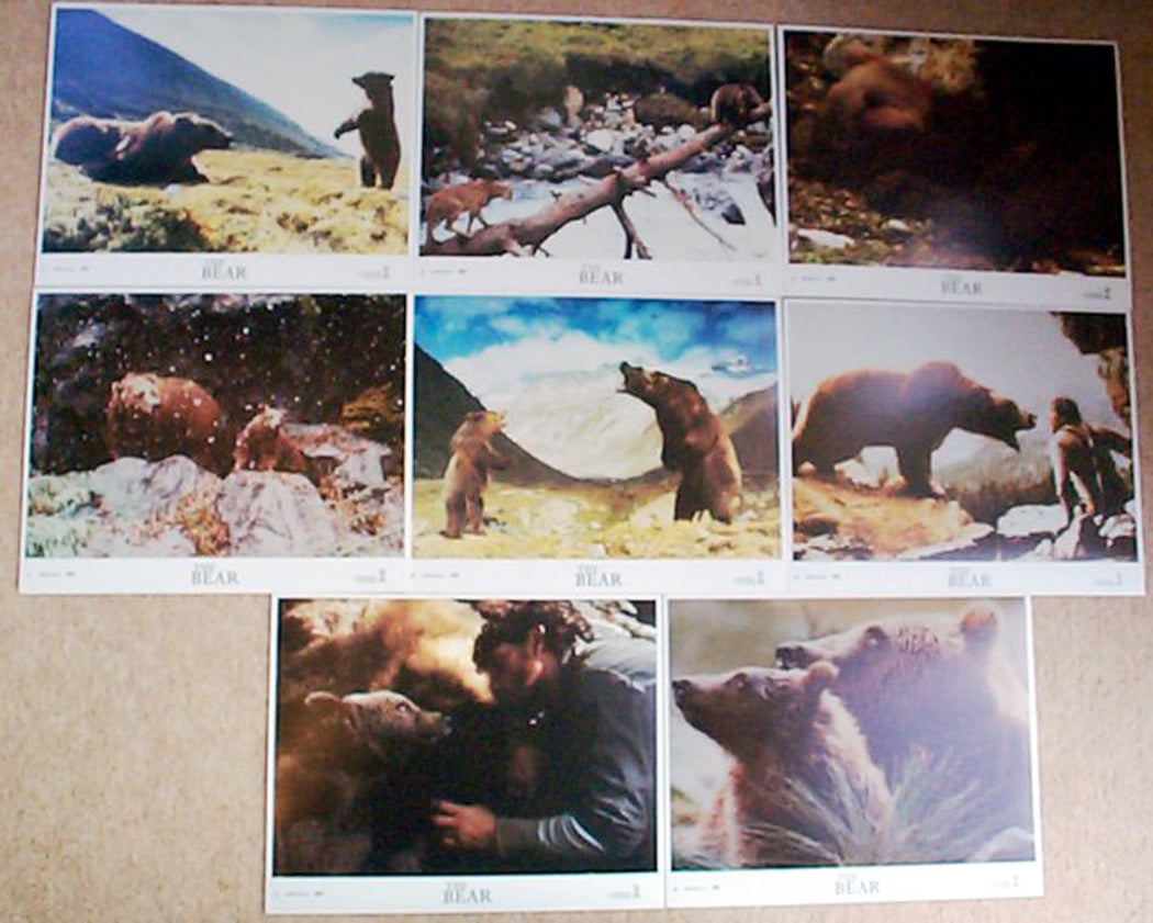 The Bear  Set of 8 Lobby Cards 