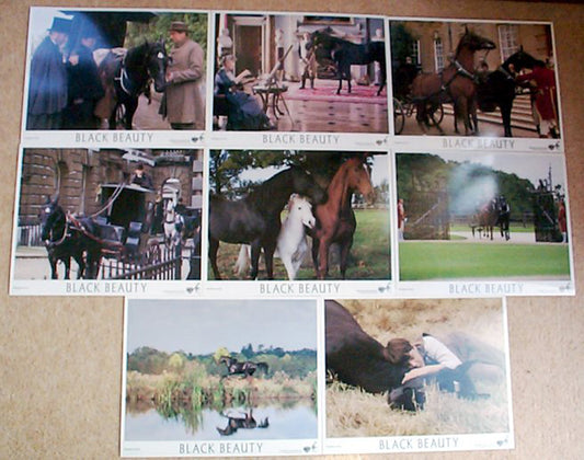 Black Beauty  Set of 8 Lobby Cards 