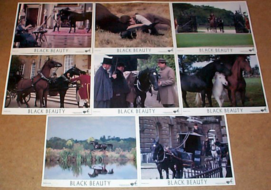 Black Beauty  Set of 8 Lobby Cards 