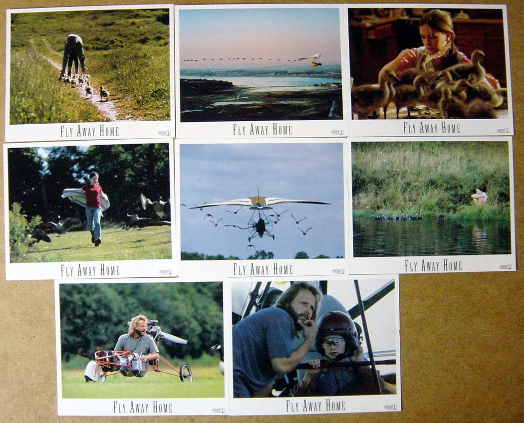 Fly Away Home  Set of 8 Lobby Cards 