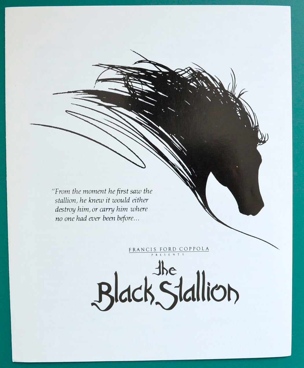 The Black Stallion - Synopsis - Front