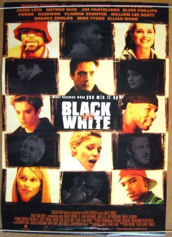 Black And White  One Sheet Movie Poster