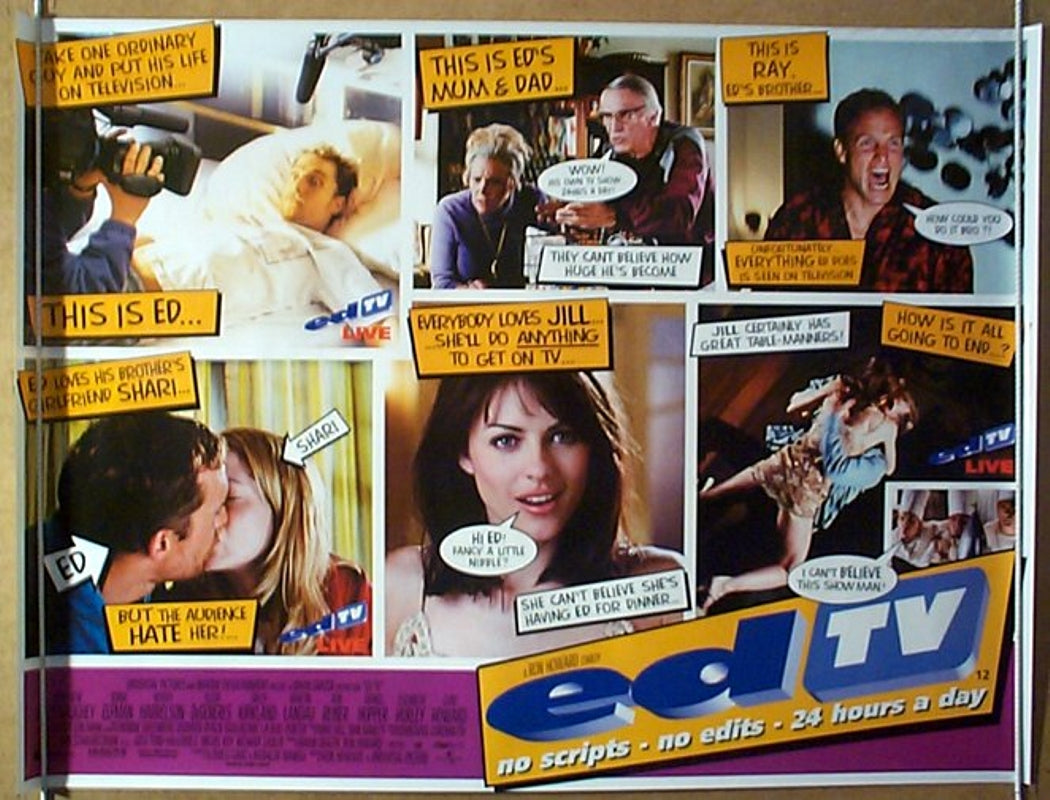 ED TV  Original Quad Movie Poster  