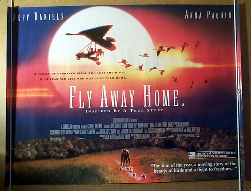 Fly Away Home  Original Quad Movie Poster  