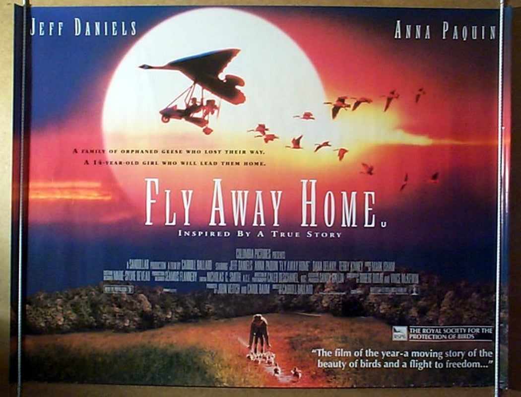 Fly Away Home  Original Quad Movie Poster  