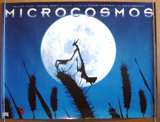 Microcosmos  Original Quad Movie Poster  