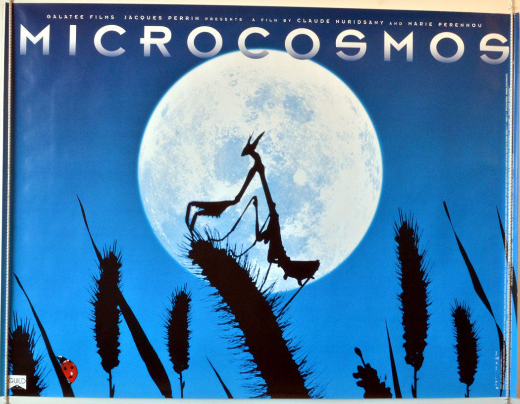 Microcosmos   Original British Quad Poster - Movie Poster