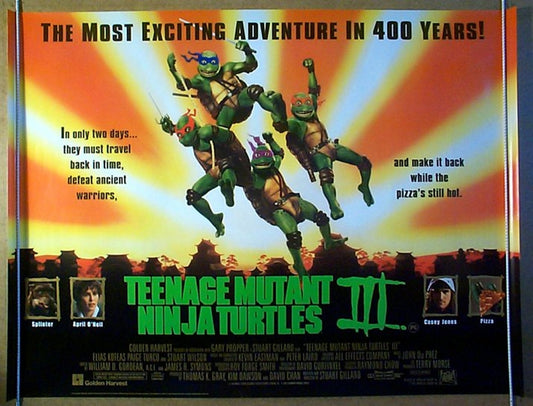 Teenage Mutant Ninja Turtles 3  Original Quad Movie Poster  