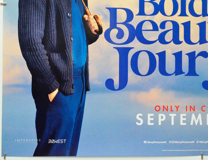 A Big Bold Beautiful Journey (Bottom Left) Cinema Quad Movie Poster 