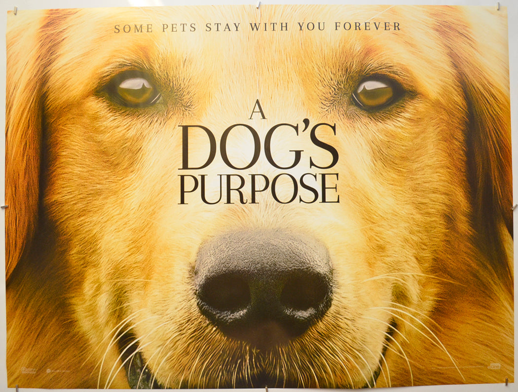 A Dog's Purpose (Teaser / Advance Version) Original Quad Poster - Film Poster - Movie Poster