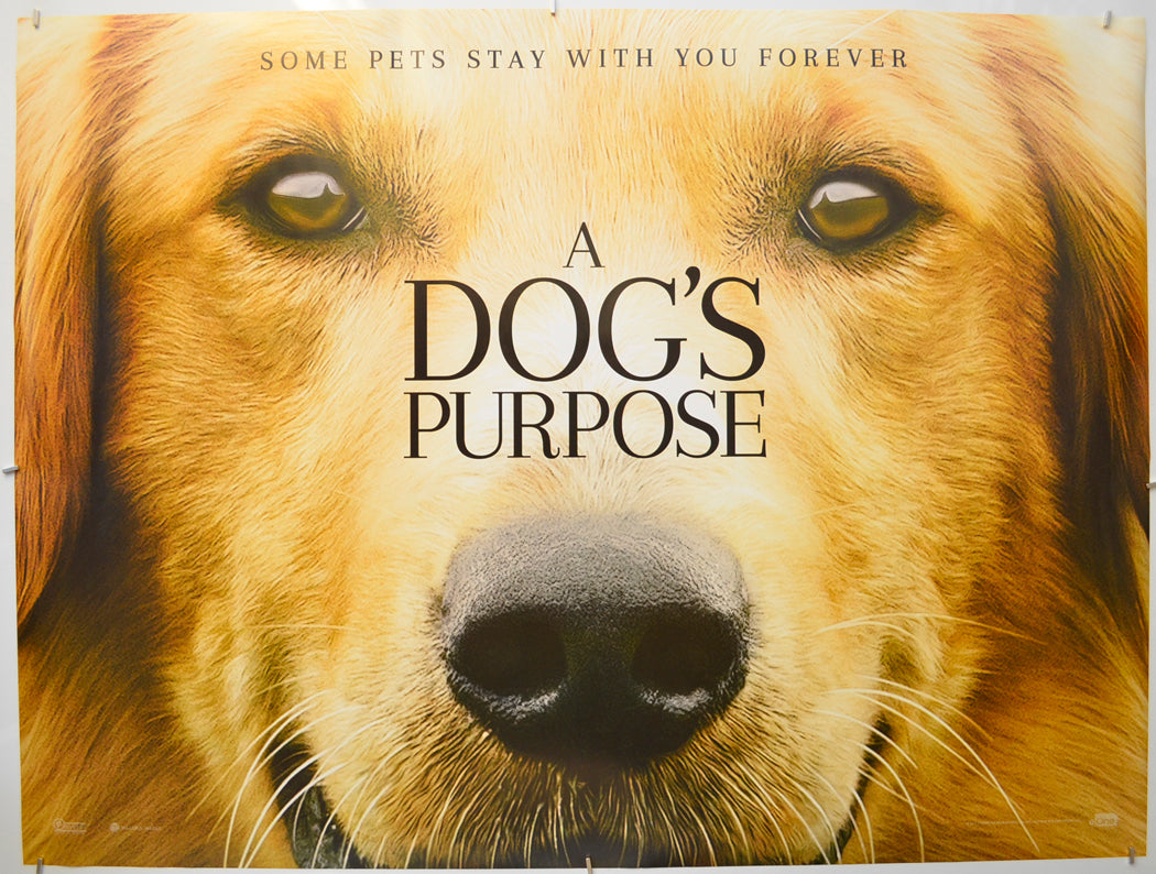 A Dog's Purpose (Teaser / Advance Version) Original Quad Poster - Film Poster - Movie Poster