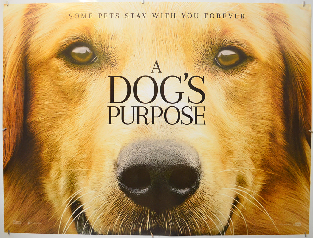 A Dog's Purpose (Teaser / Advance Version) Original Quad Poster - Film Poster - Movie Poster