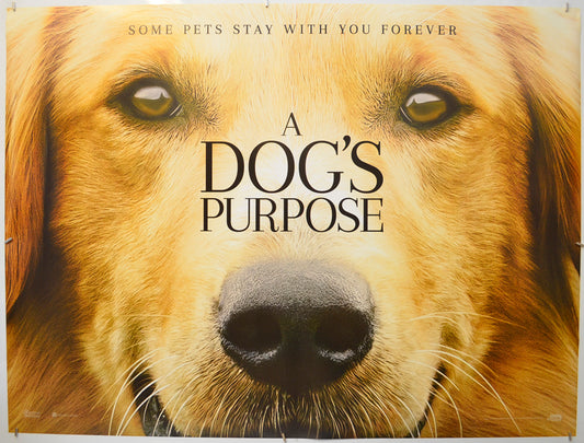 A Dog's Purpose (Teaser / Advance Version) Original Quad Poster - Film Poster - Movie Poster