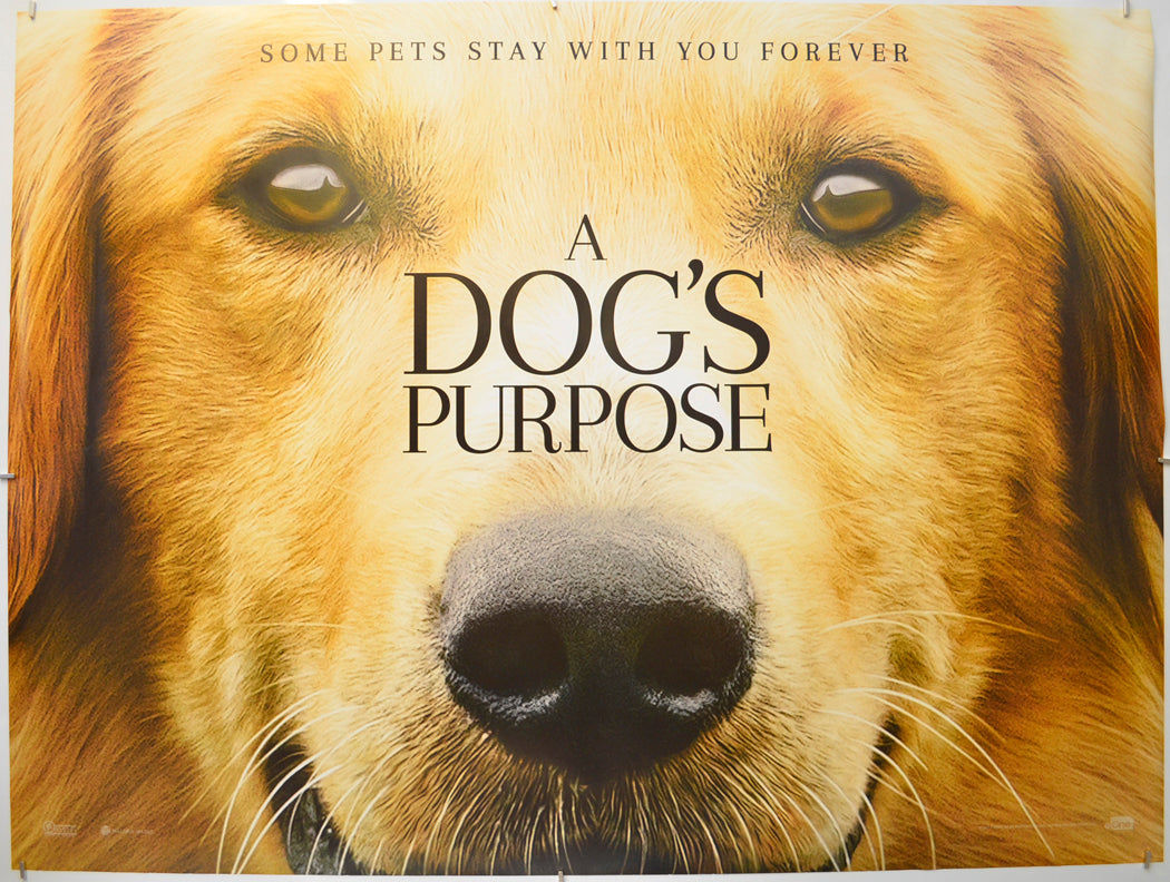 A Dog's Purpose (Teaser / Advance Version) Original Quad Poster - Film Poster - Movie Poster