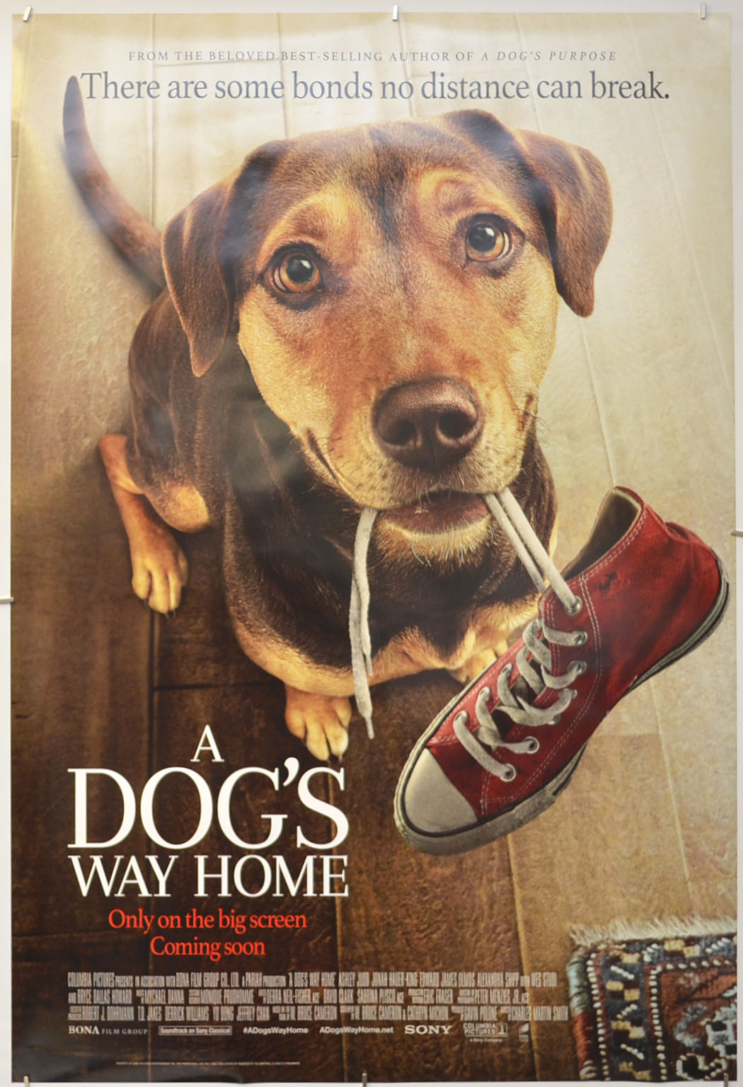 A Dog's Way Home Original One Sheet Poster - Film Poster - Movie Poster