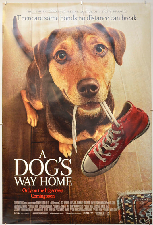 A Dog's Way Home Original One Sheet Poster - Film Poster - Movie Poster