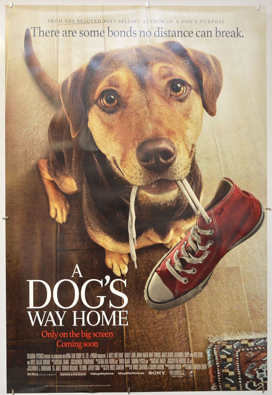 A Dog's Way Home Original One Sheet Poster - Film Poster - Movie Poster