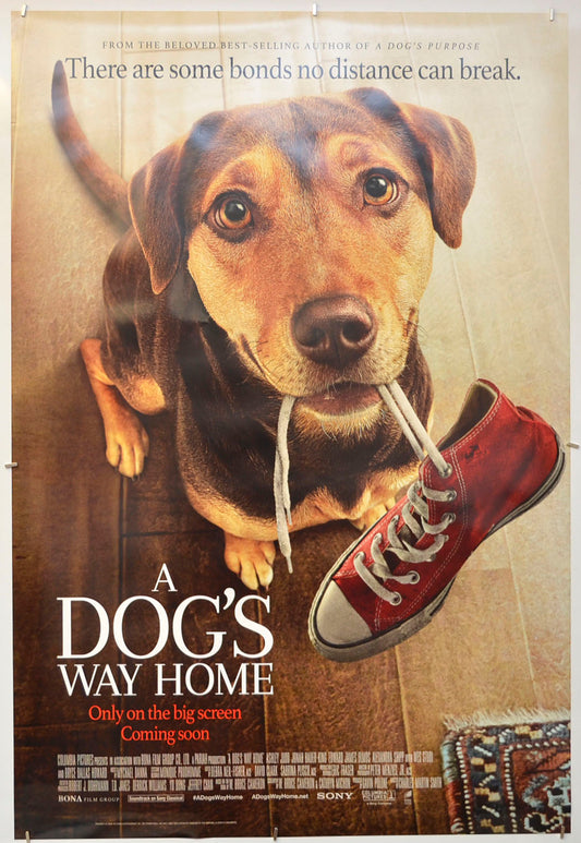 A Dog's Way Home Original One Sheet Poster - Film Poster - Movie Poster