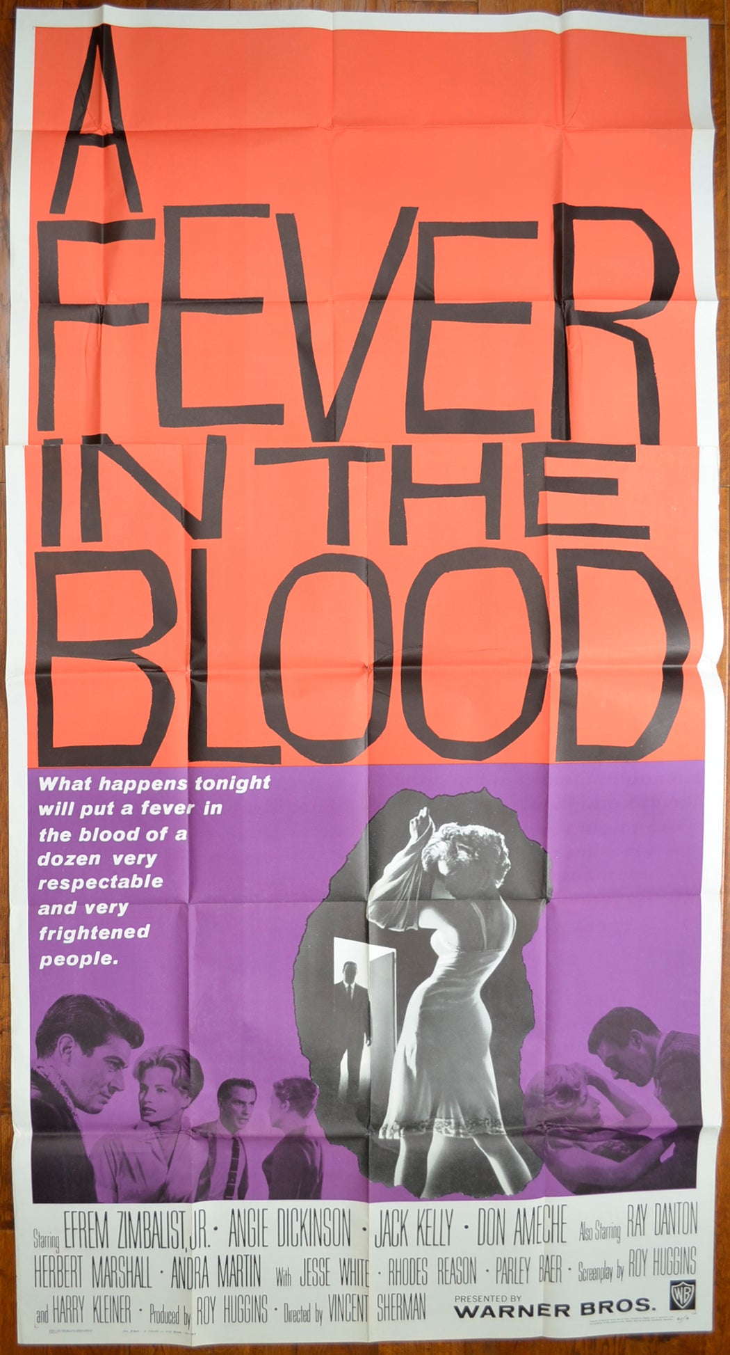 A Fever In The Blood   Original US 3-Sheet Poster - Film Poster - Movie Poster 