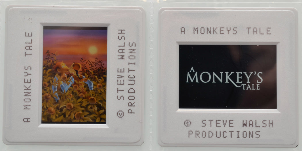 A Monkey’s Tale (Slides 3 and 4) Original 35mm Slides - Cinema Press Slides
