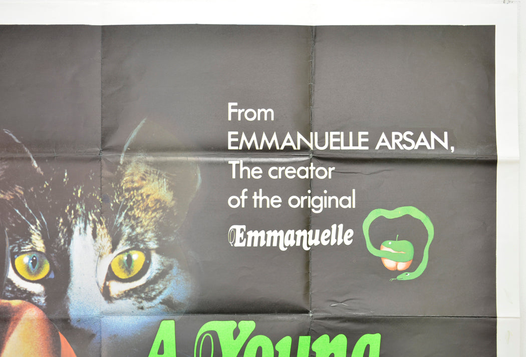 A YOUNG EMMANUELLE (Top Right) Cinema Quad Movie Poster 