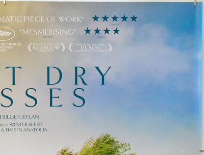 About Dry Grasses (Top Right) Cinema Quad Movie Poster 