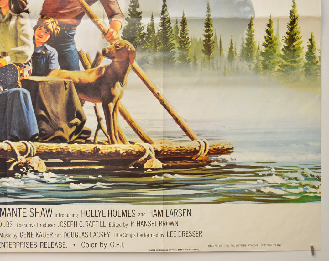 ADVENTURES OF THE WILDERNESS FAMILY (Bottom Right) Cinema Quad Movie Poster 