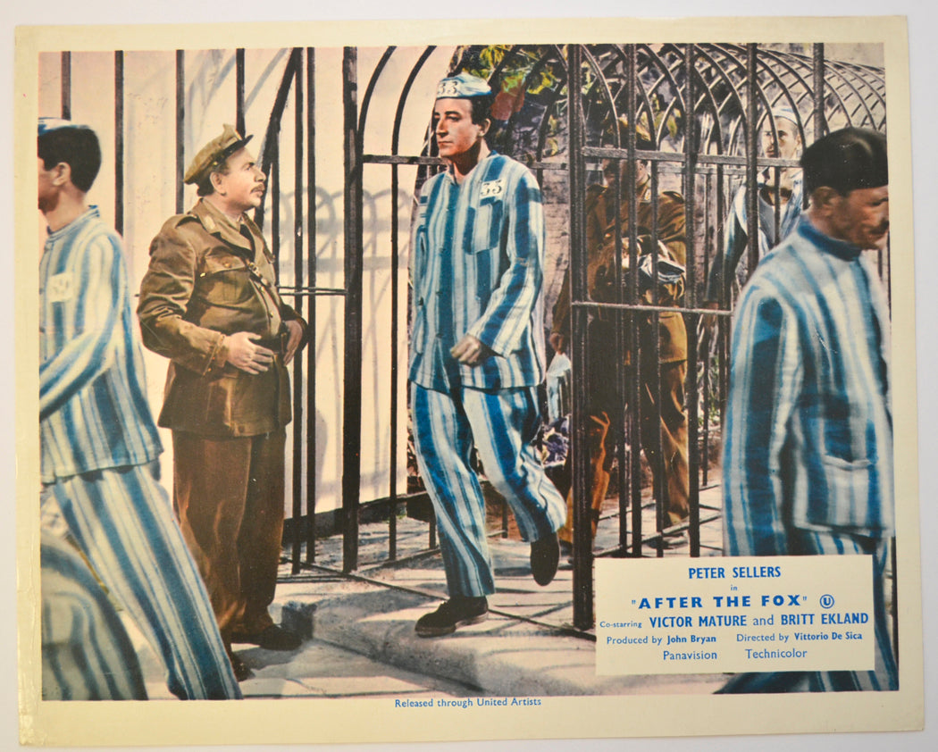 AFTER THE FOX (Card 4) Cinema Set of Colour FOH Stills / Lobby Cards 