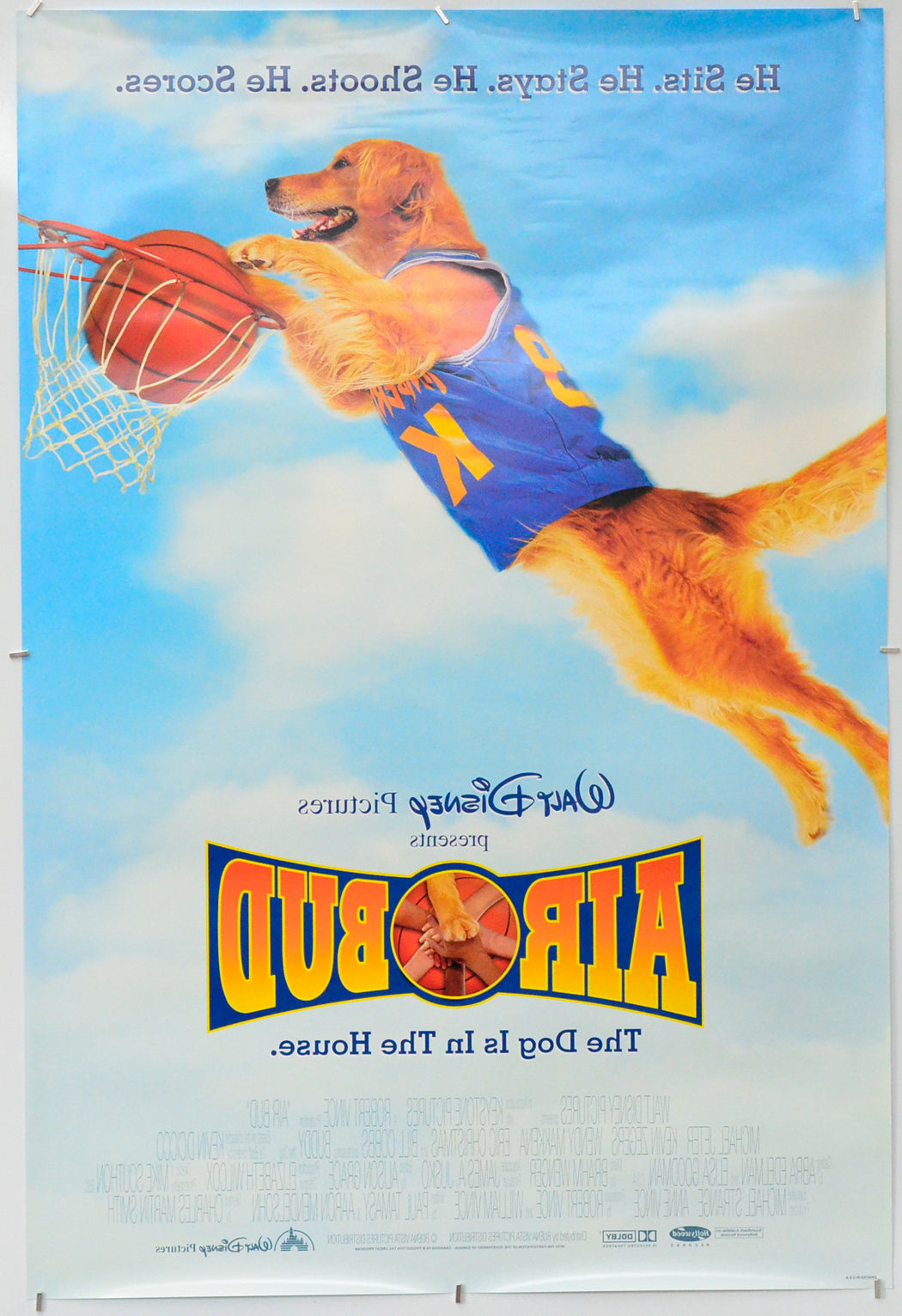 Air Bud (Back) Cinema One Sheet Movie Poster 