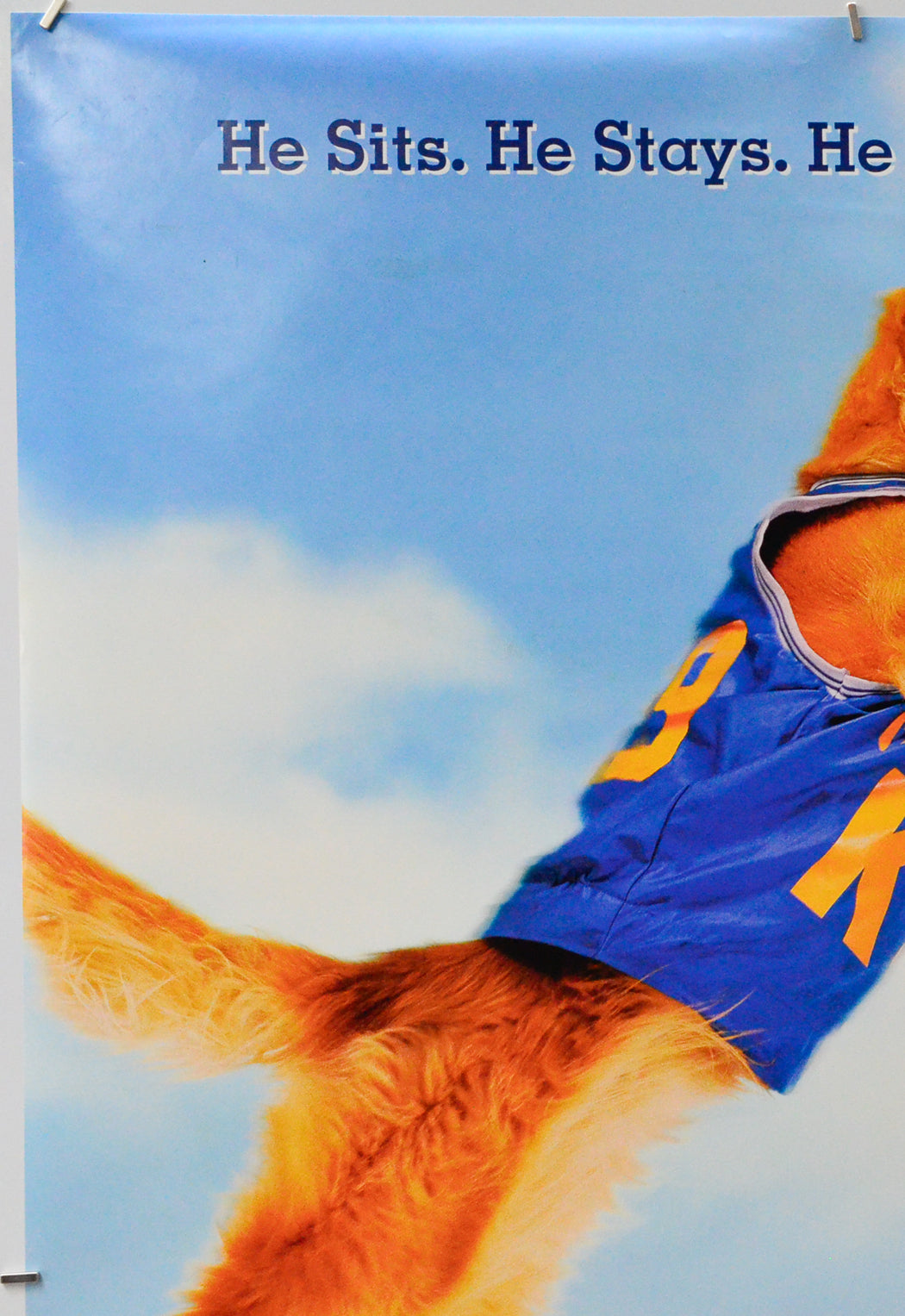 Air Bud (Top Left) Cinema One Sheet Movie Poster 