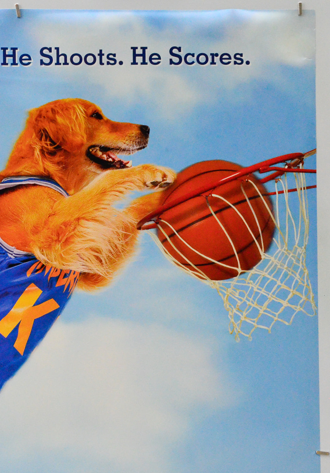 Air Bud (Top Right) Cinema One Sheet Movie Poster 