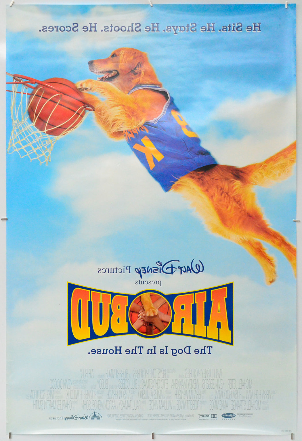 Air Bud (Back) Cinema One Sheet Movie Poster 