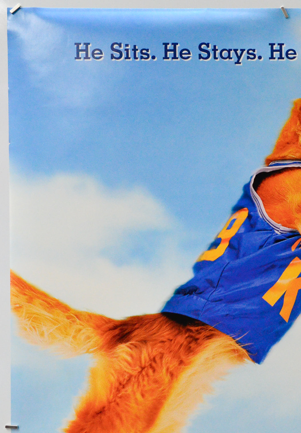 Air Bud (Top Left) Cinema One Sheet Movie Poster 
