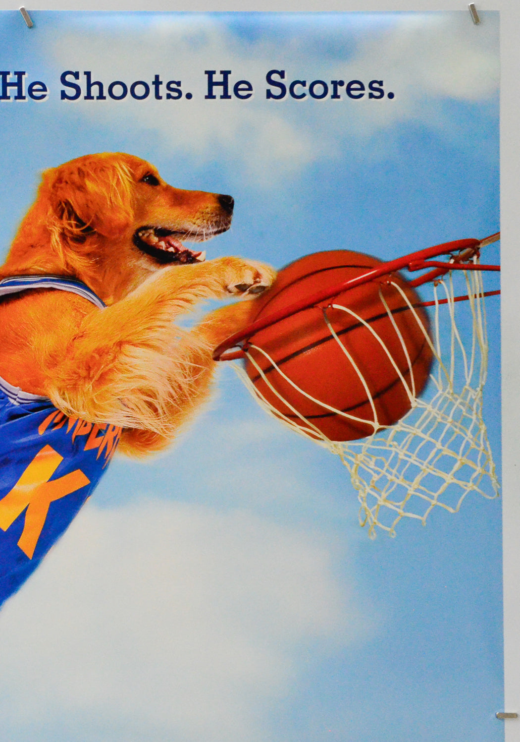 Air Bud (Top Right) Cinema One Sheet Movie Poster 