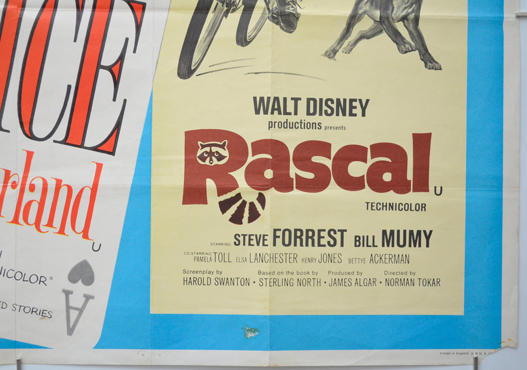 ALICE IN WONDERLAND / RASCAL (Bottom Right) Cinema Quad Movie Poster 