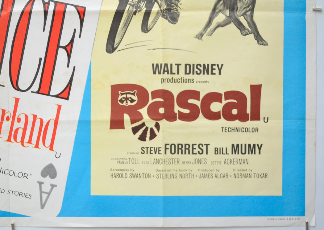 ALICE IN WONDERLAND / RASCAL (Bottom Right) Cinema Quad Movie Poster 