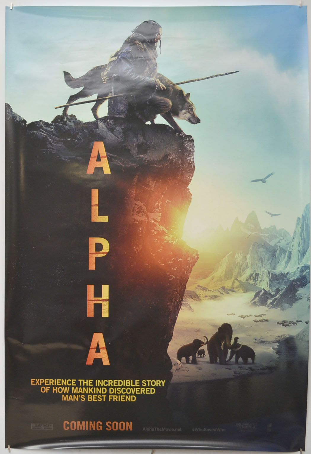 Alpha Original One Sheet Poster - Film Poster - Movie Poster